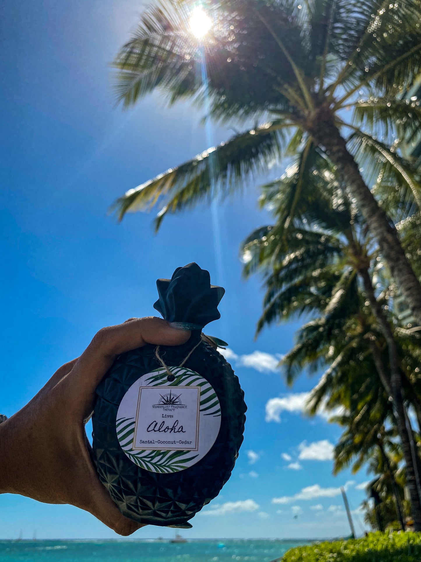 Candle in black pineapple jar scented with coconut, santal and cedar